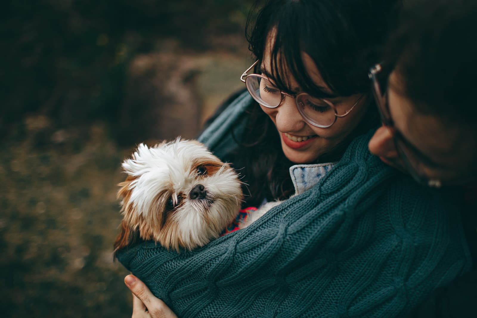 Prohibir mascotas en viviendas de alquiler